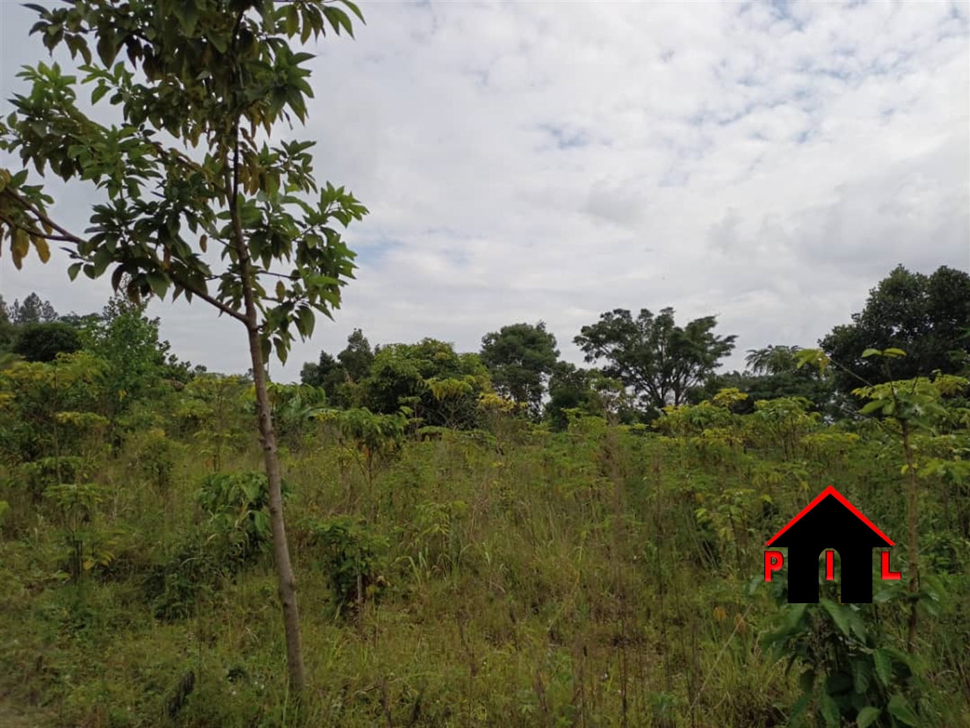 Agricultural Land for sale in Kyaasa Mpigi