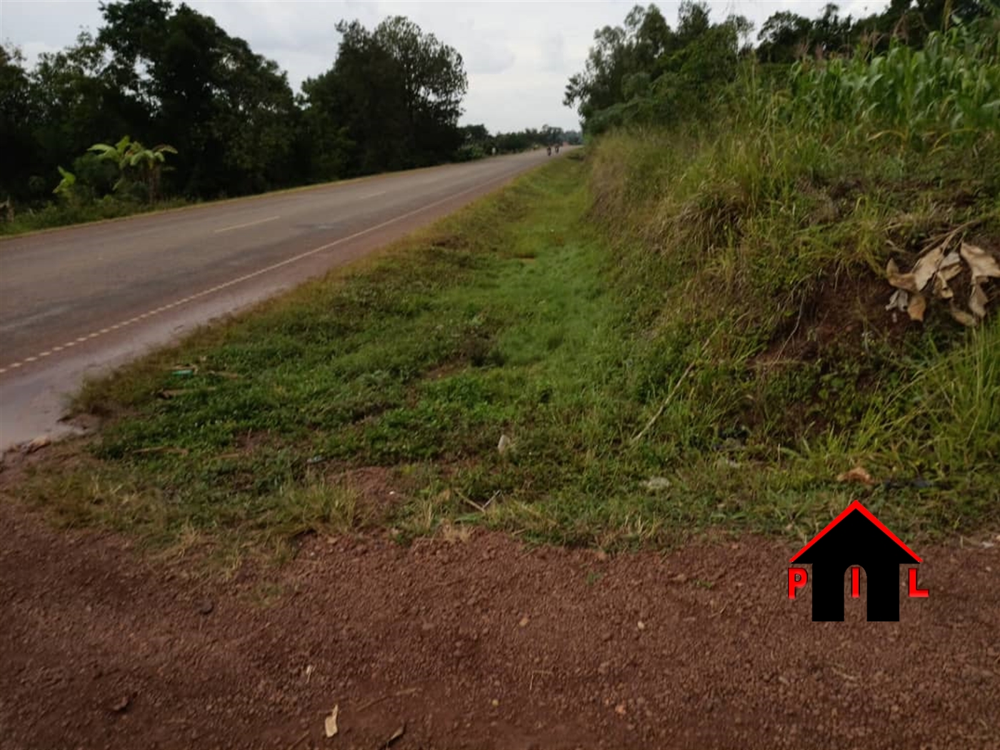 Agricultural Land for sale in Kyaasa Mpigi