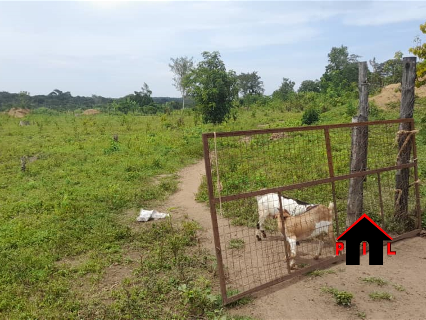 Agricultural Land for sale in Kito Luweero