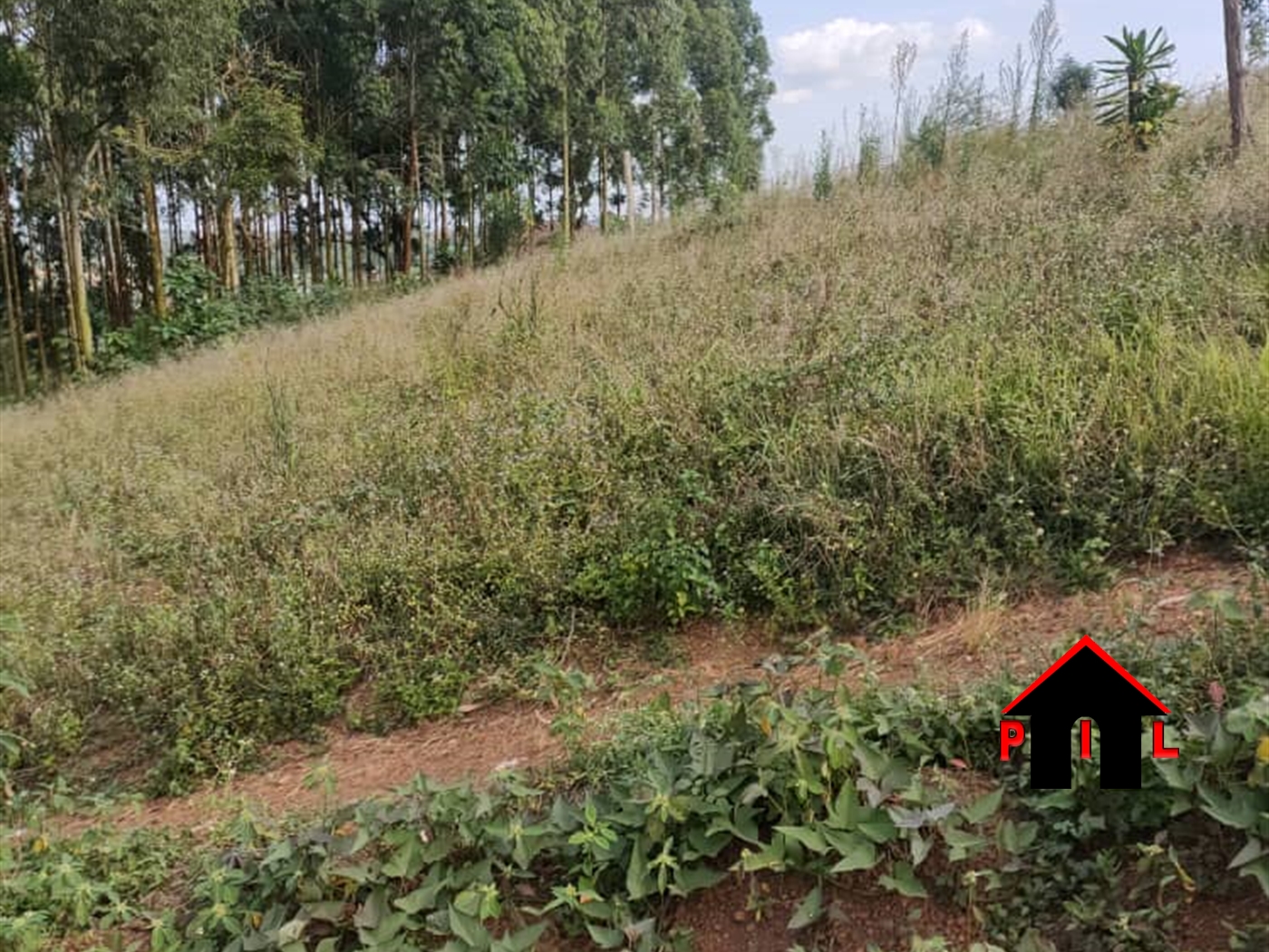 Residential Land for sale in Koona Wakiso