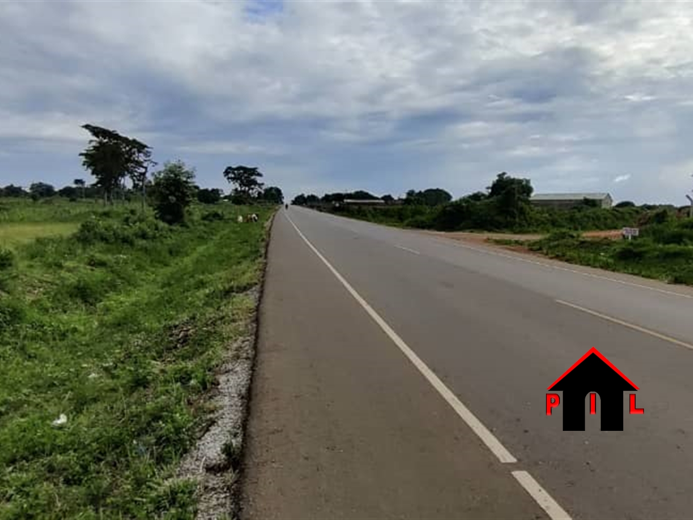 Agricultural Land for sale in Namutuba Mbaale