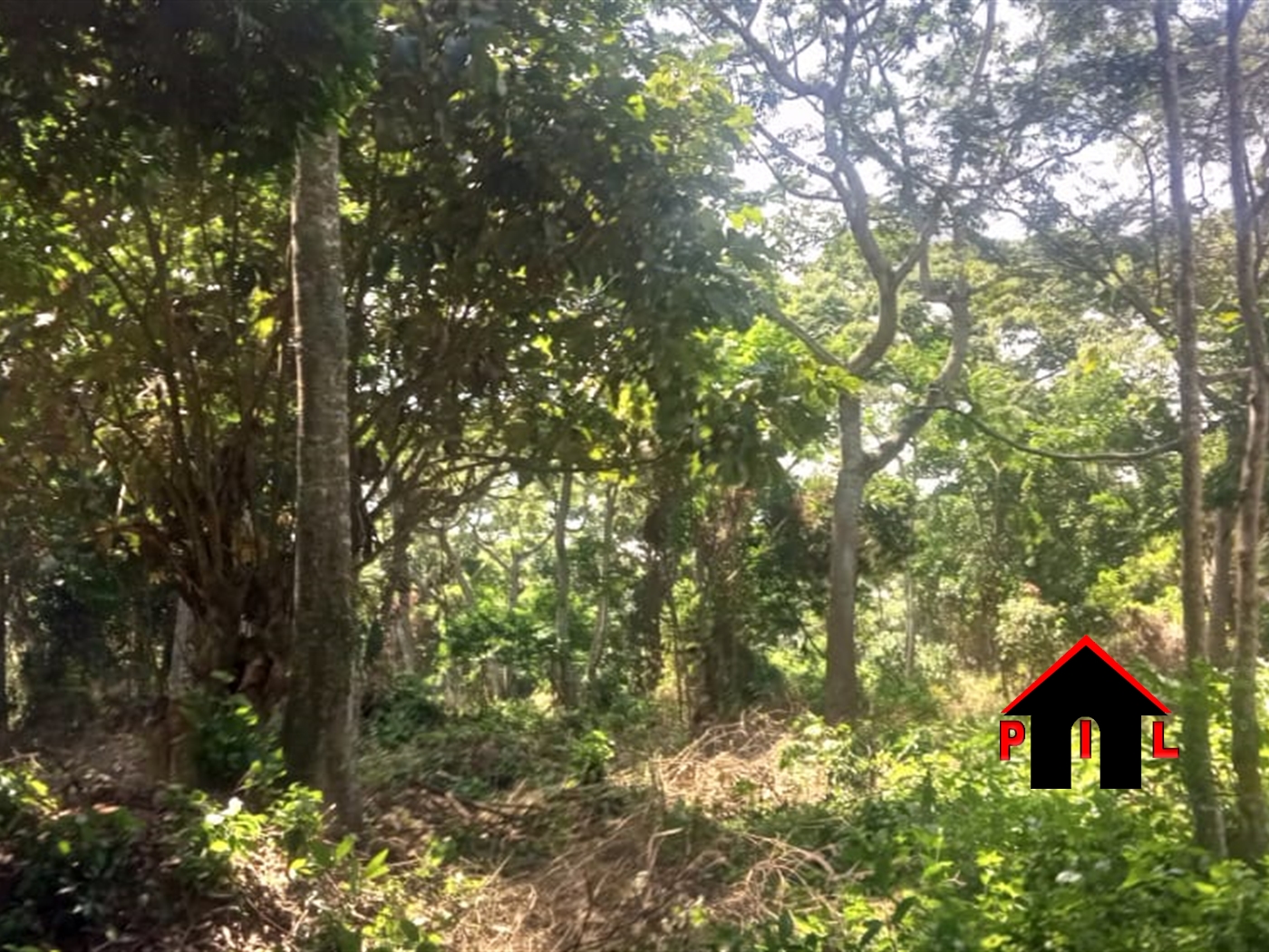 Commercial Land for sale in Kawuku Wakiso