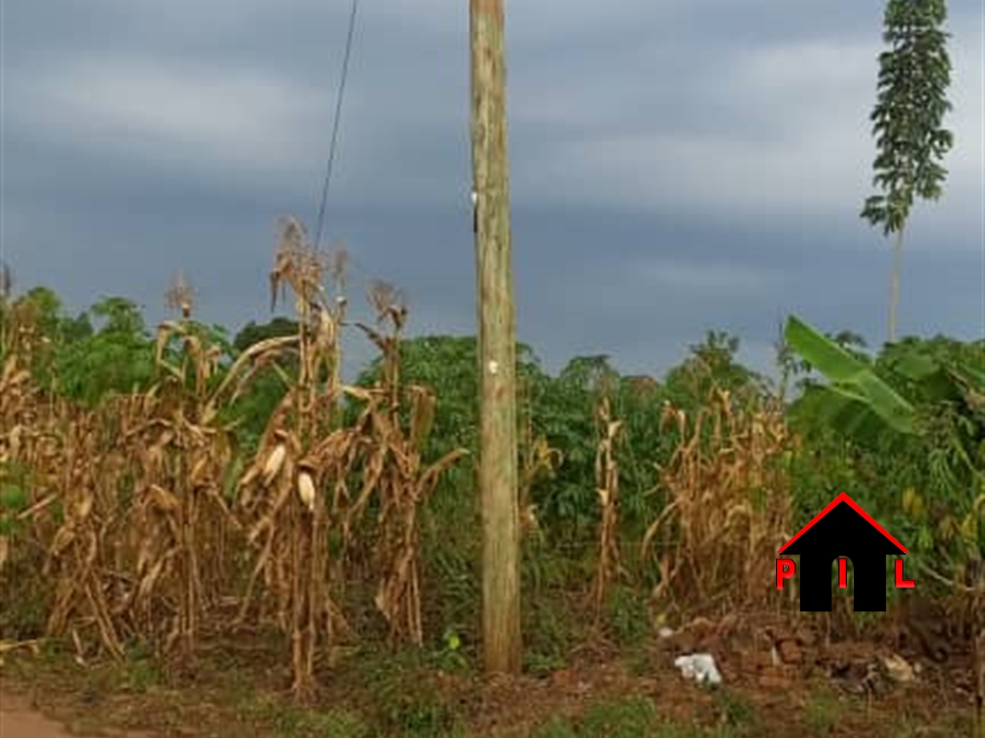 Residential Land for sale in Kijabijo Wakiso