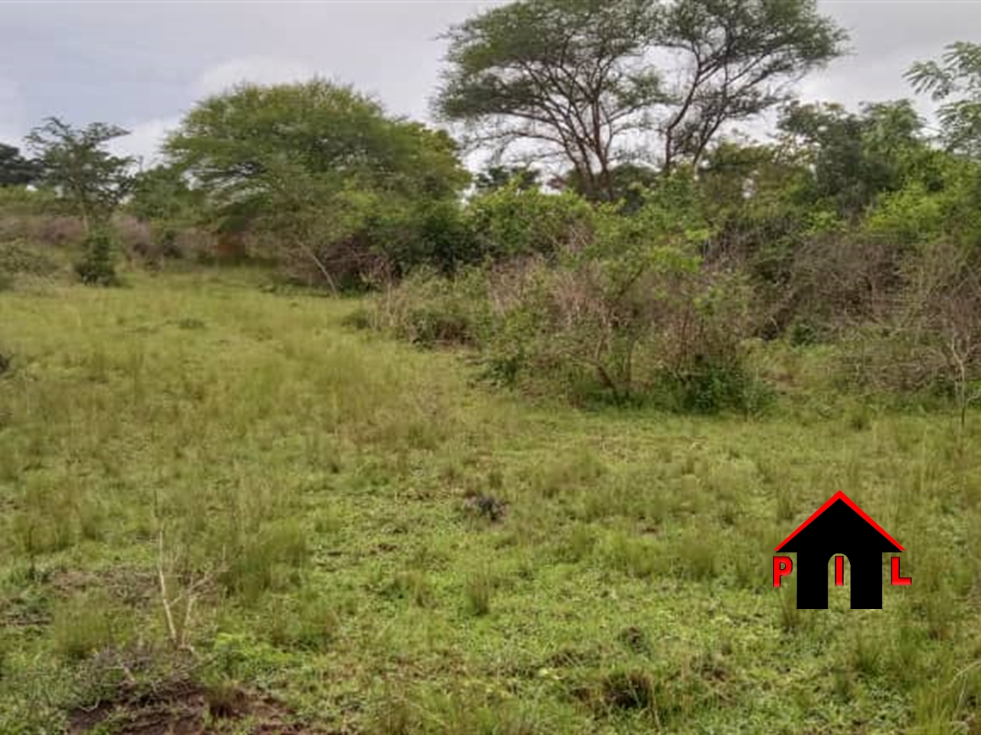 Agricultural Land for sale in Lukaya Masaka