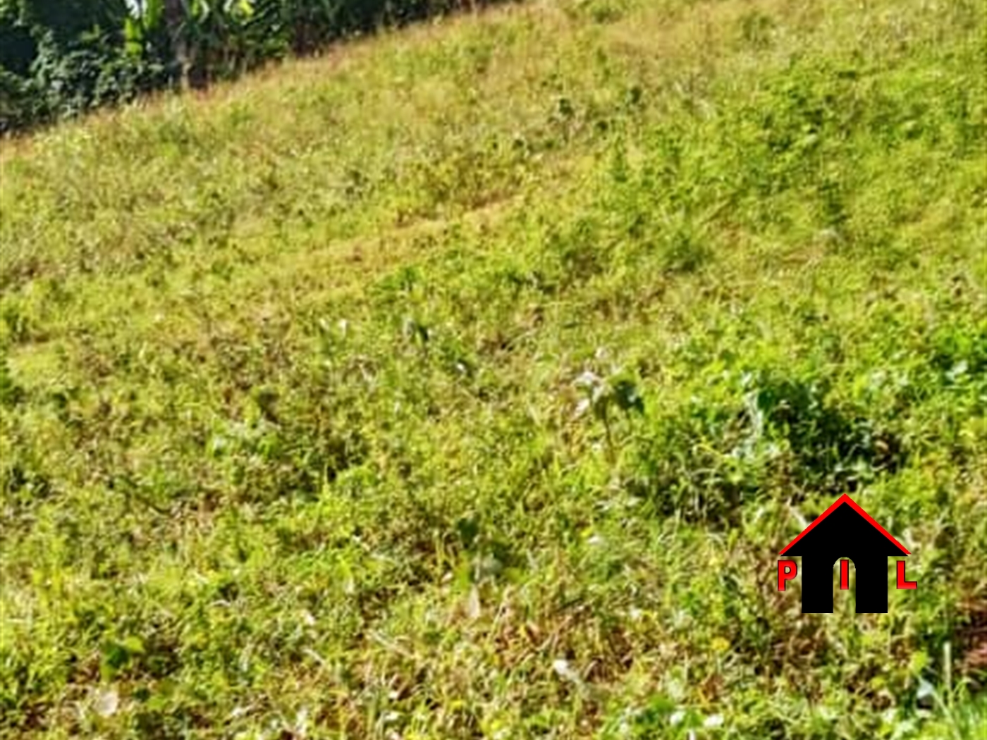 Agricultural Land for sale in Lwamata Mubende