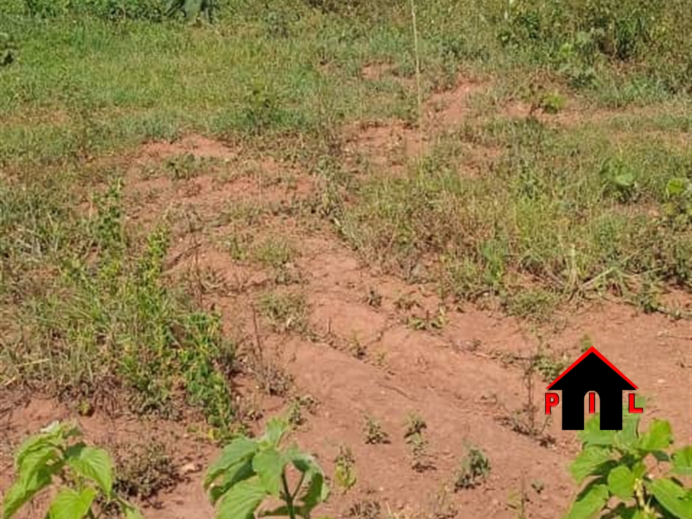 Agricultural Land for sale in Lwamata Mubende