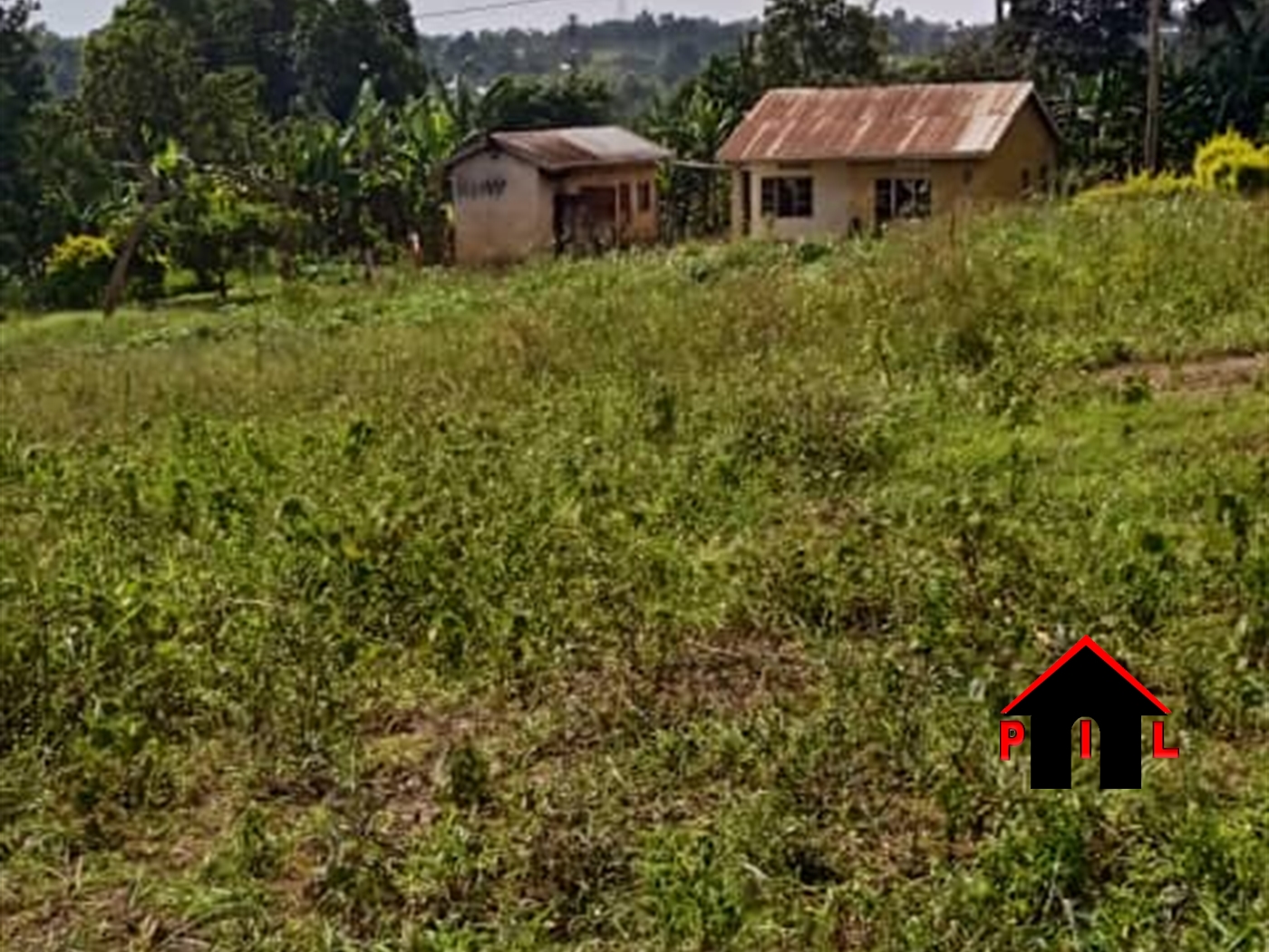 Agricultural Land for sale in Lwamata Mubende