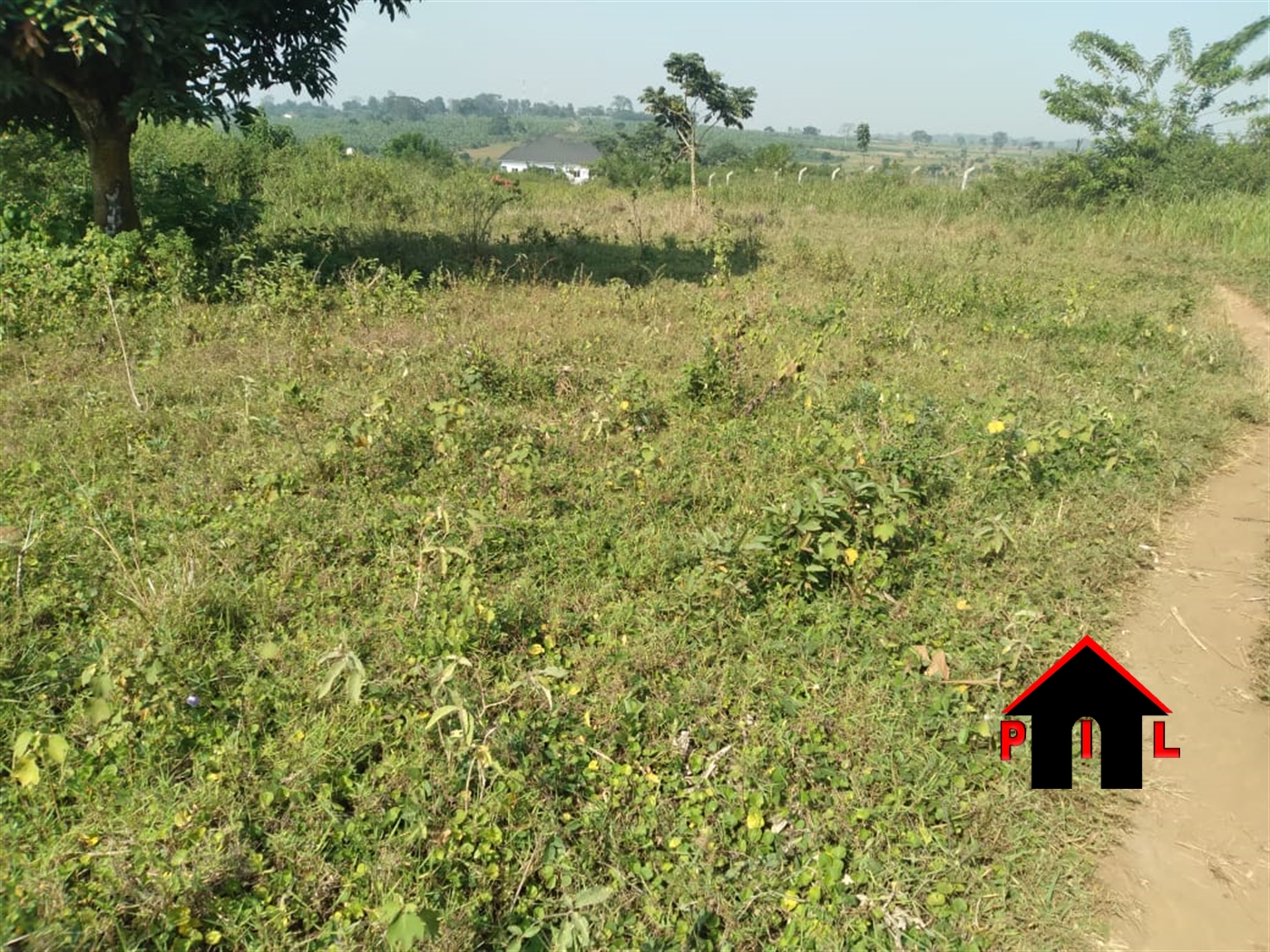 Agricultural Land for sale in Bugigi Mukono