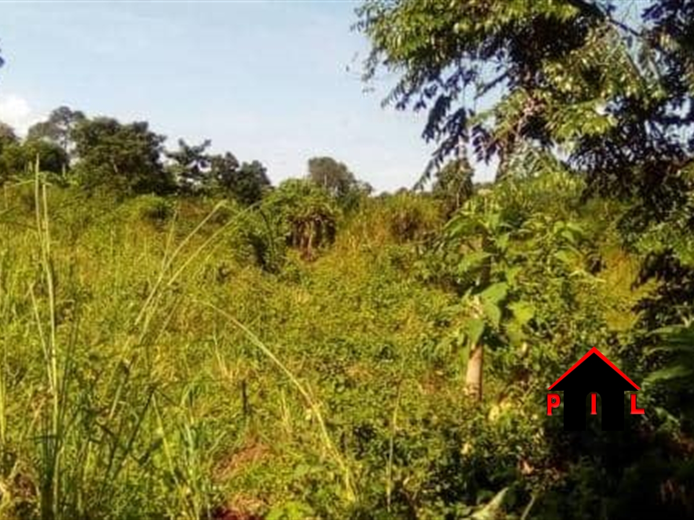 Agricultural Land for sale in Bugigi Mukono