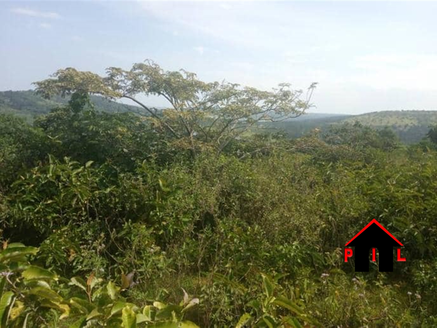 Commercial Land for sale in Buliba Mukono