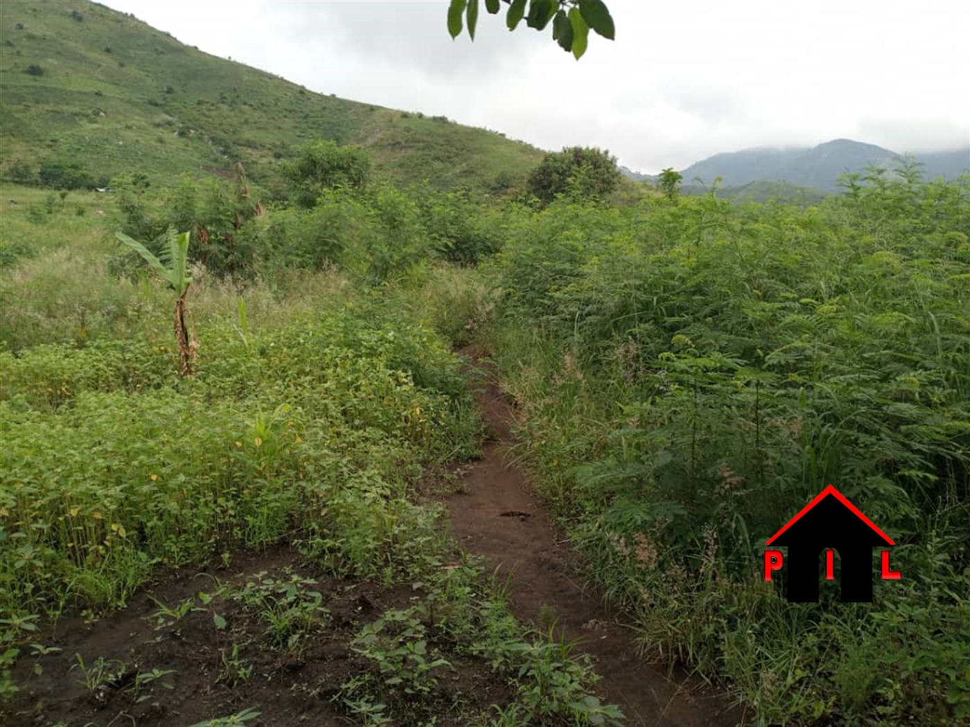 Residential Land for sale in Busiika Luweero