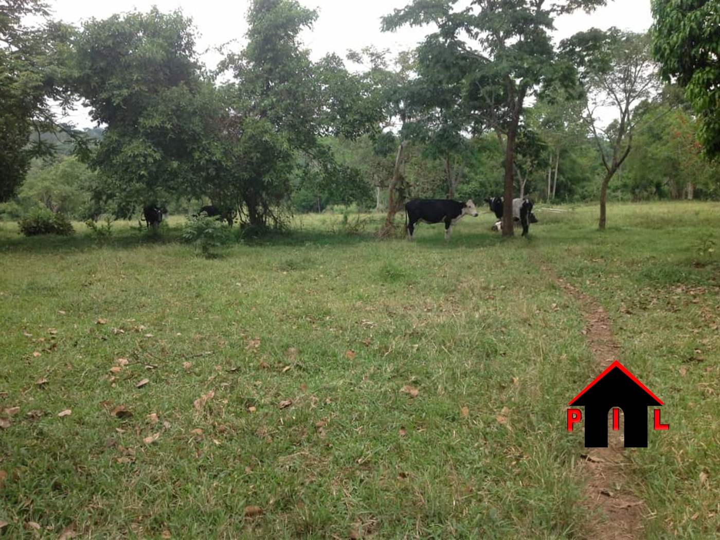 Agricultural Land for sale in Namayuba Wakiso