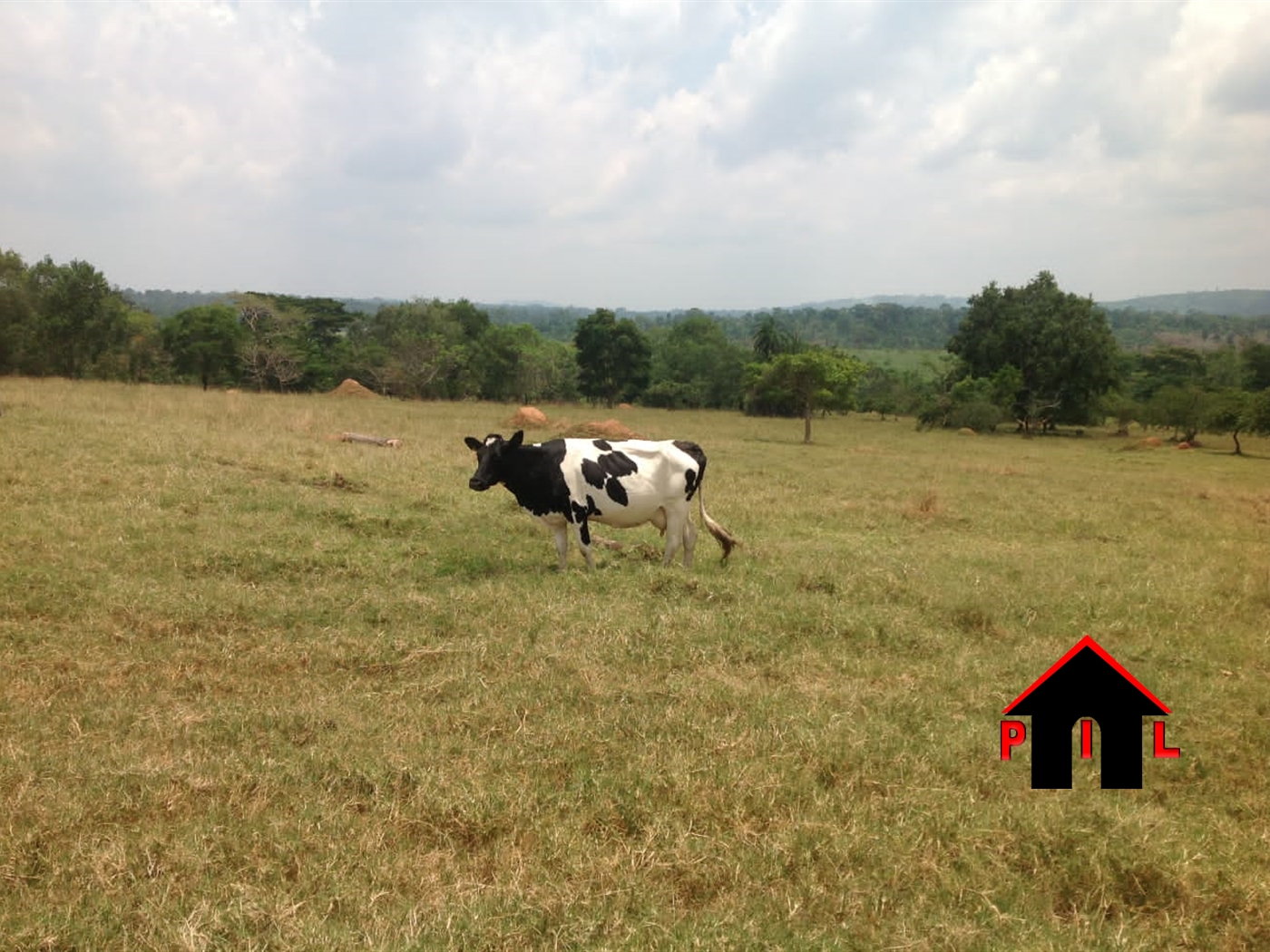 Agricultural Land for sale in Namayuba Wakiso