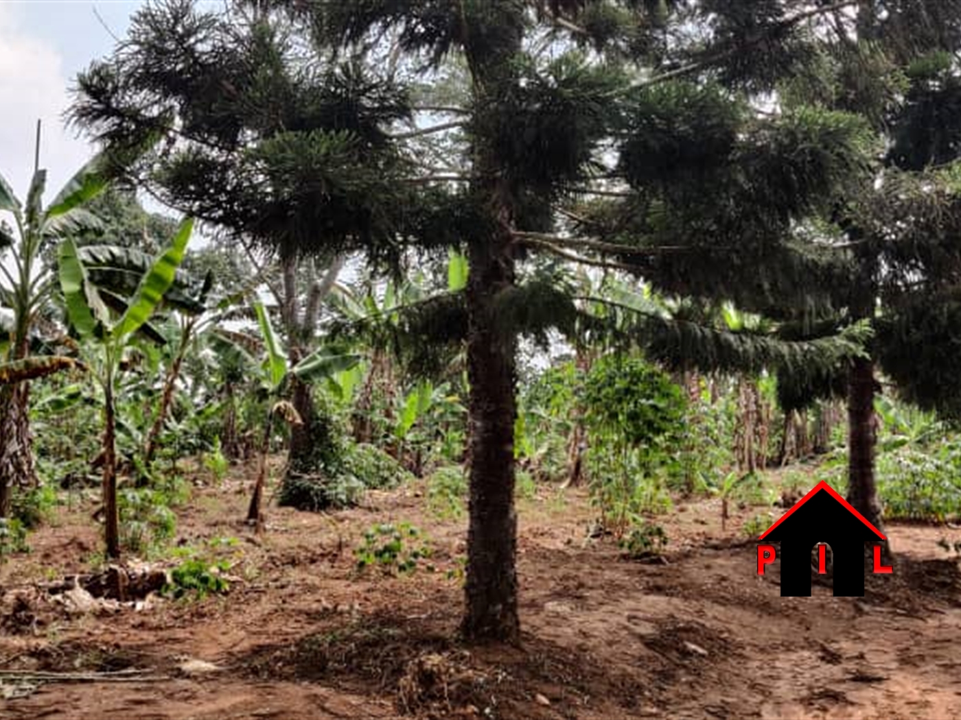 Residential Land for sale in Chungu Mukono
