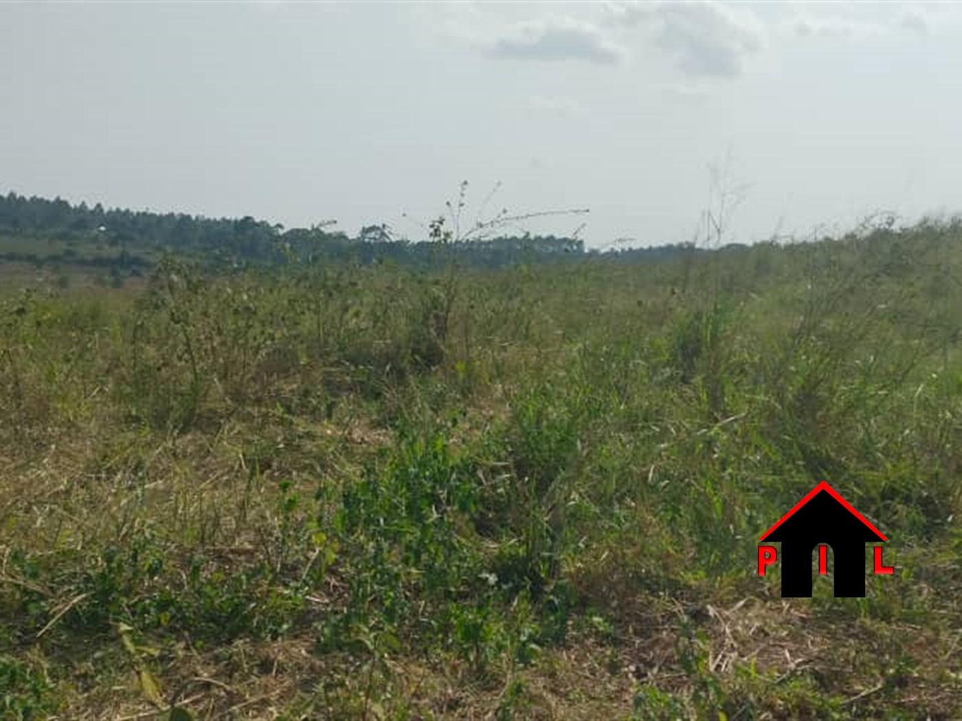 Agricultural Land for sale in Nazigo Mukono
