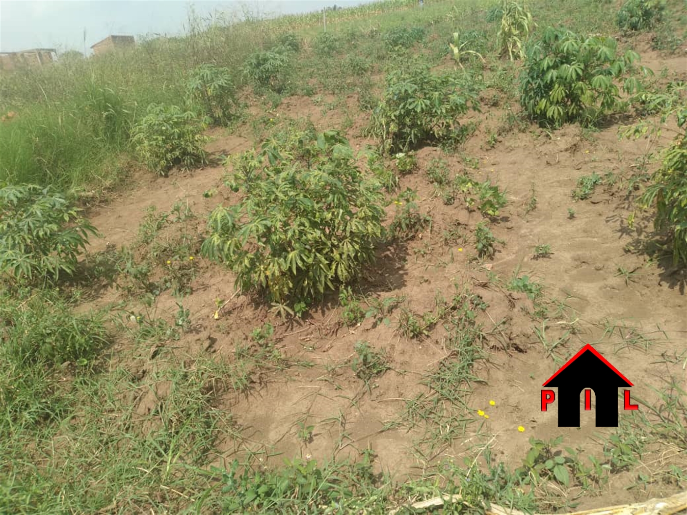 Residential Land for sale in Busiika Wakiso