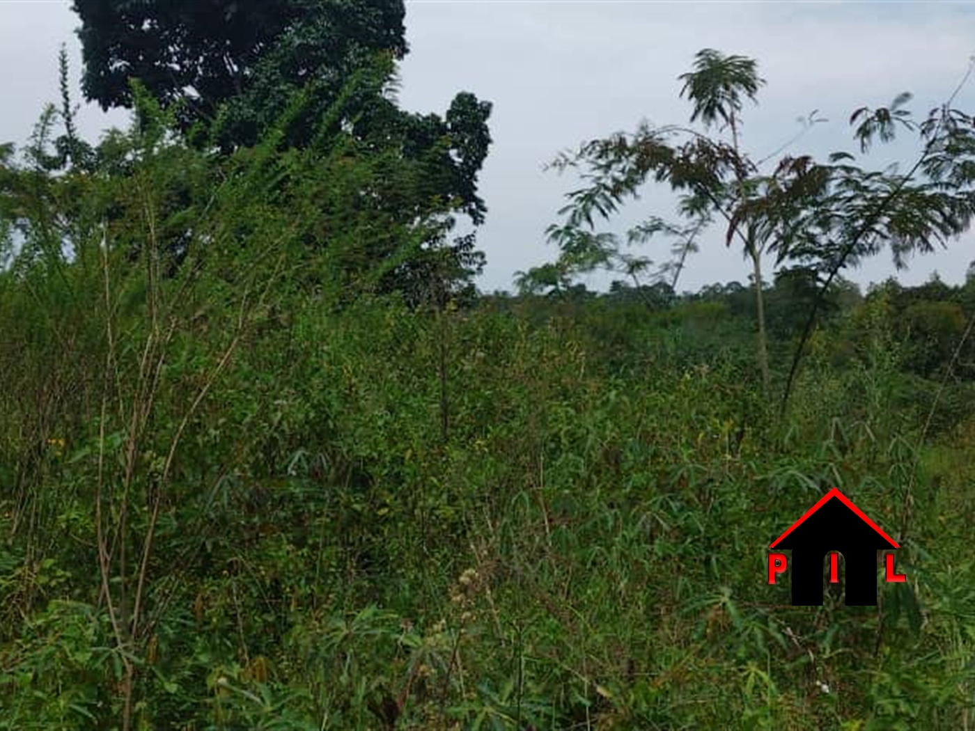 Agricultural Land for sale in Kikyuusa Luweero