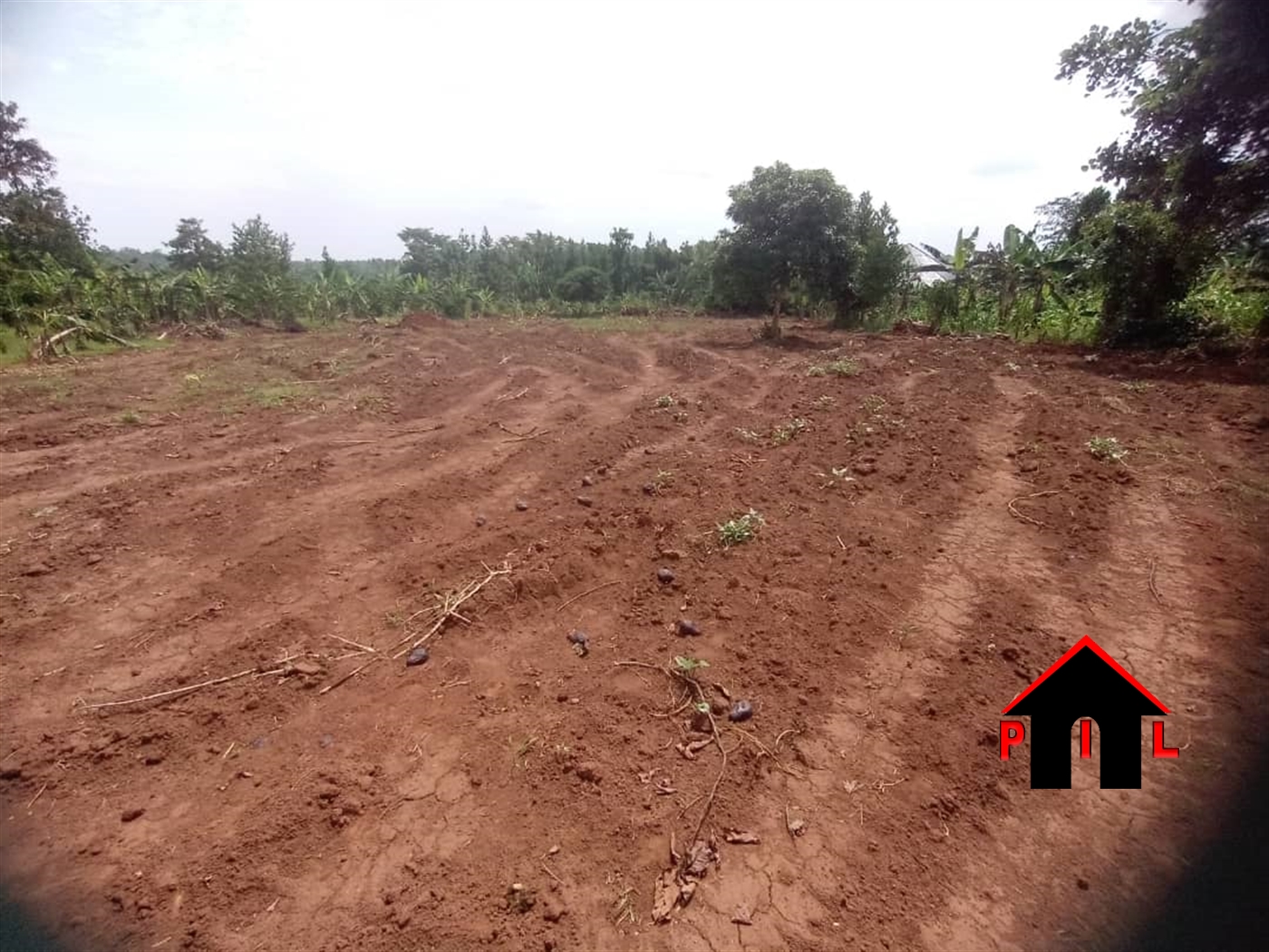 Agricultural Land for sale in Ziloobwe Luweero