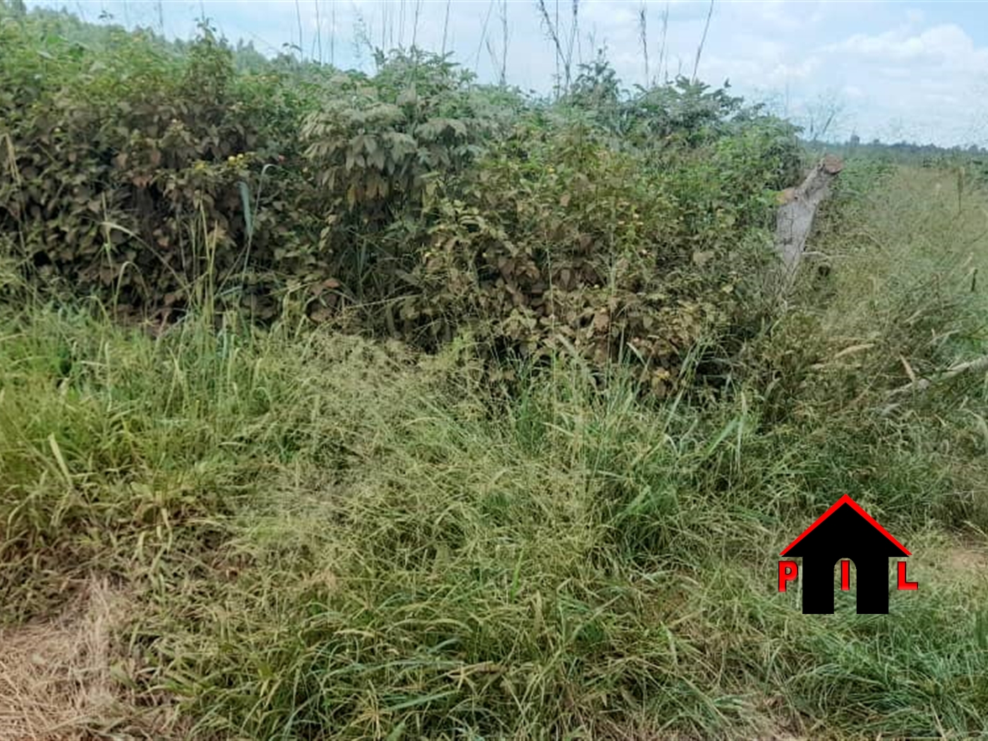 Agricultural Land for sale in Kiwoko Nakaseke