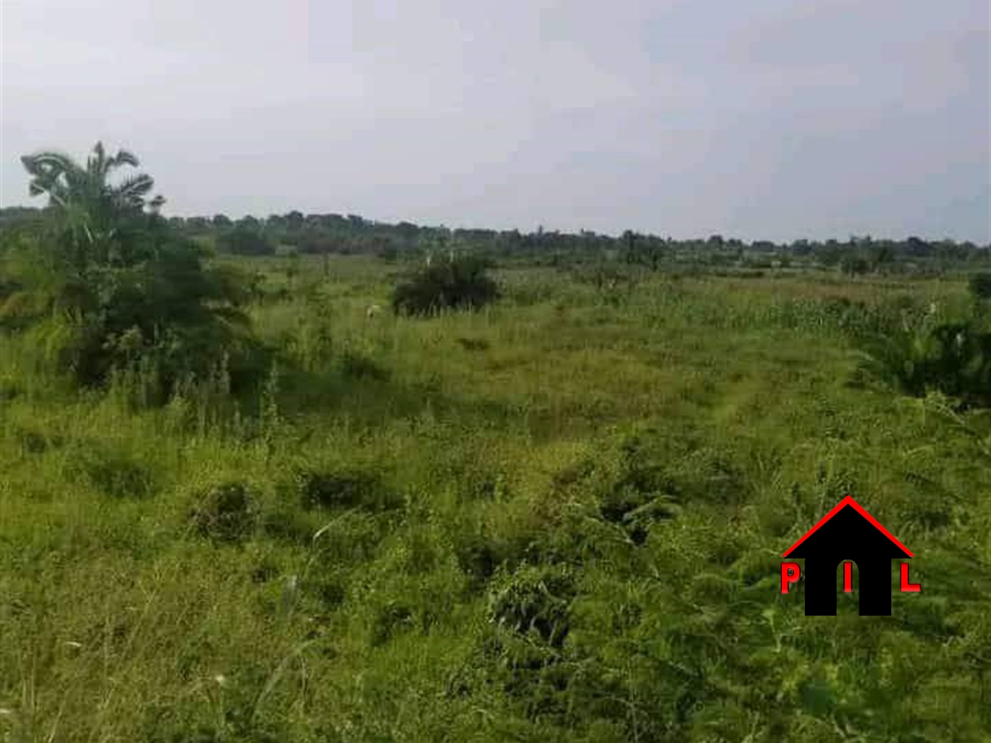 Agricultural Land for sale in Kisozi Gomba
