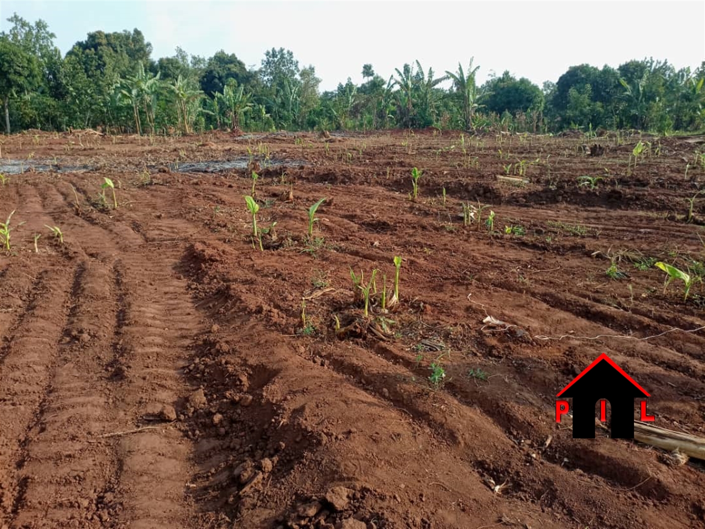 Residential Land for sale in Buloba Wakiso