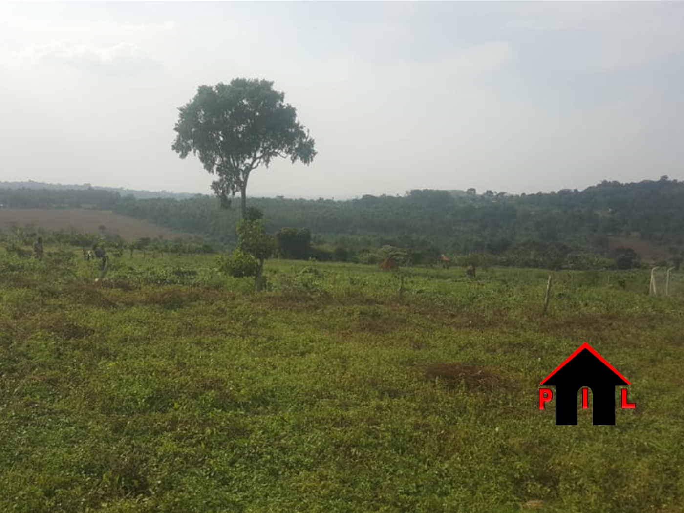 Residential Land for sale in Bukaasa Wakiso