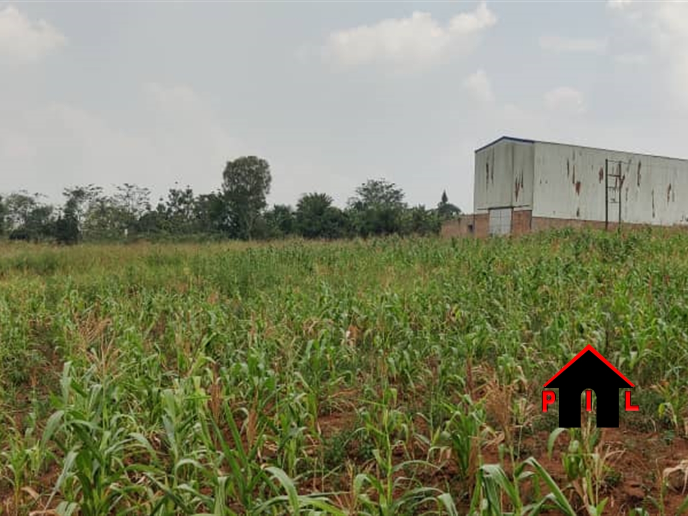 Agricultural Land for sale in Chungu Mukono