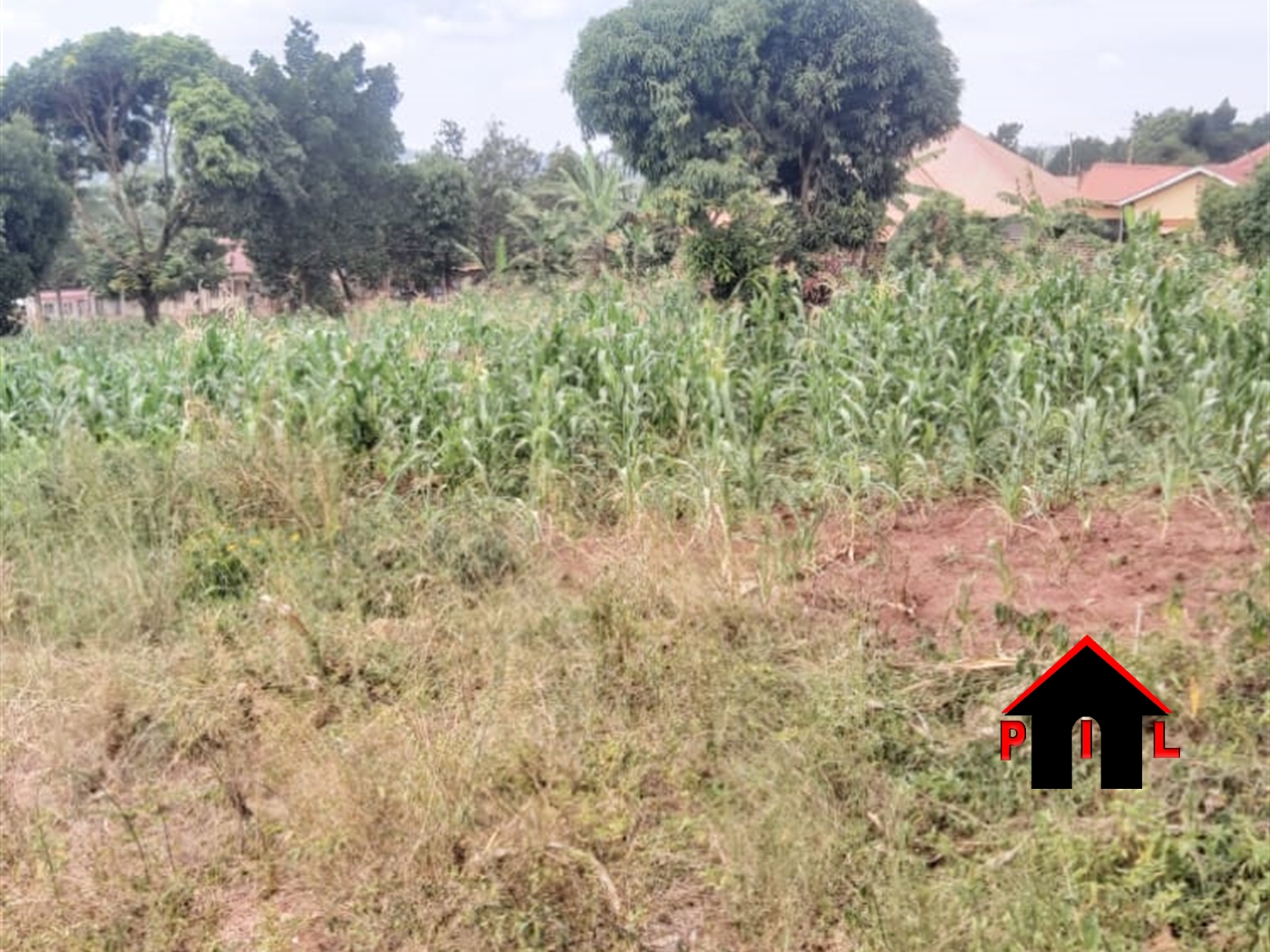 Commercial Land for sale in Buddo Wakiso