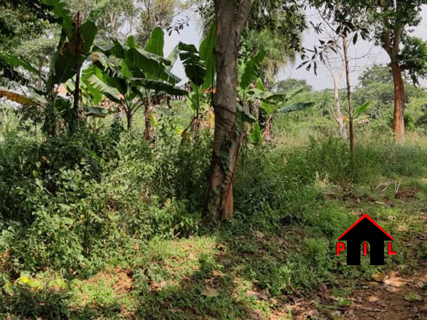 Commercial Land for sale in Chungu Mukono