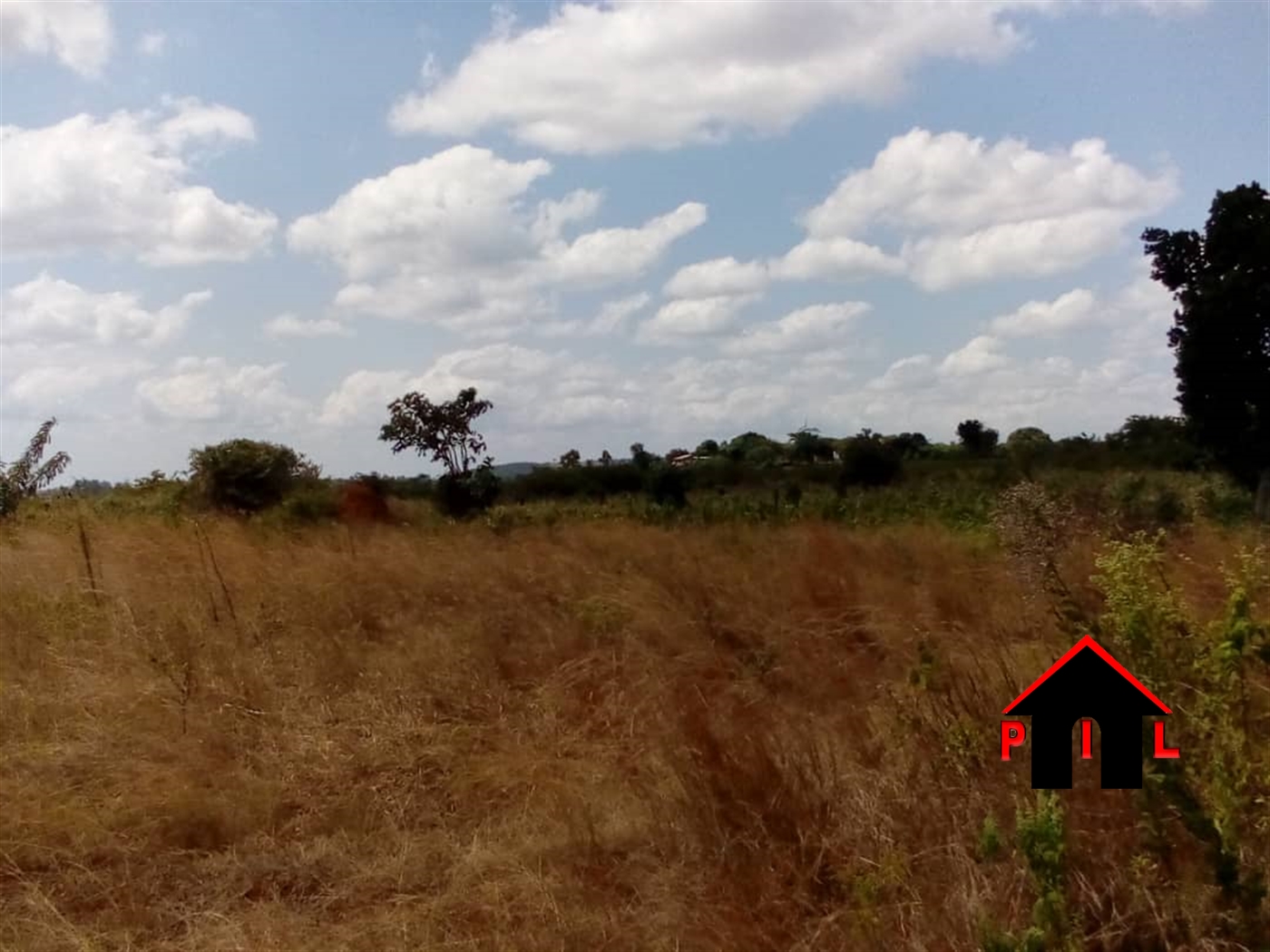 Agricultural Land for sale in Kabuule Mityana