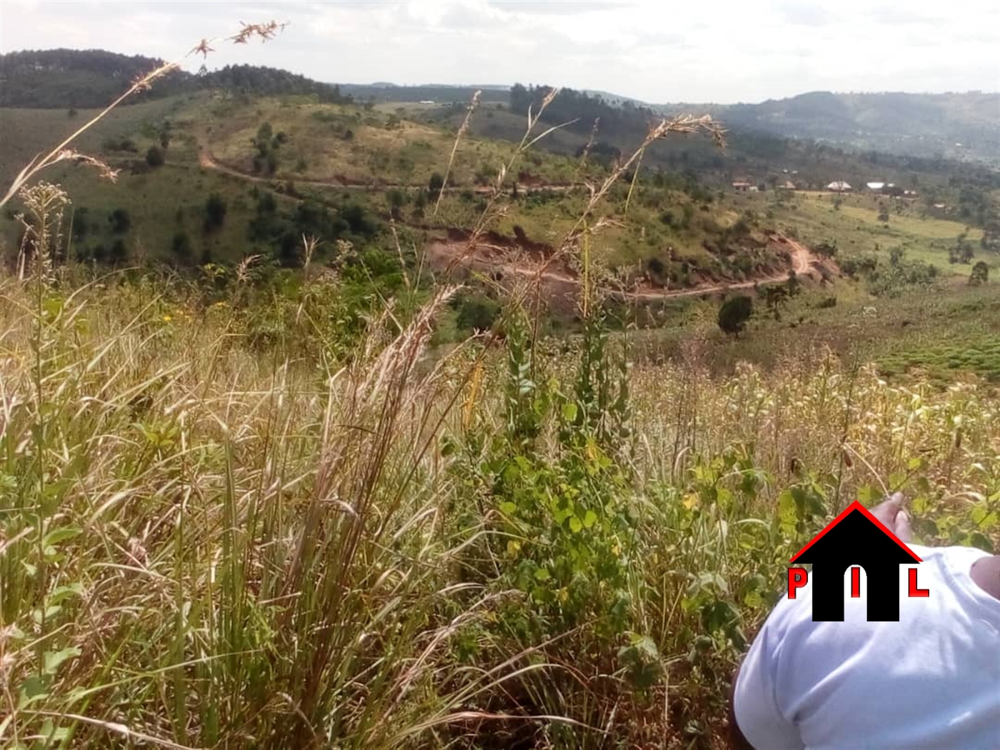 Agricultural Land for sale in Kabuule Mityana