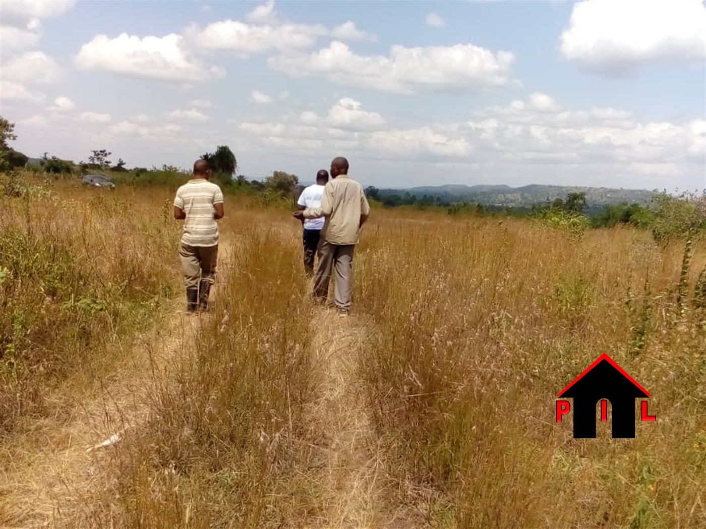 Agricultural Land for sale in Kabuule Mityana