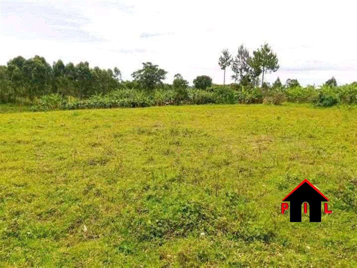 Farm for sale in Karuma Nwoya