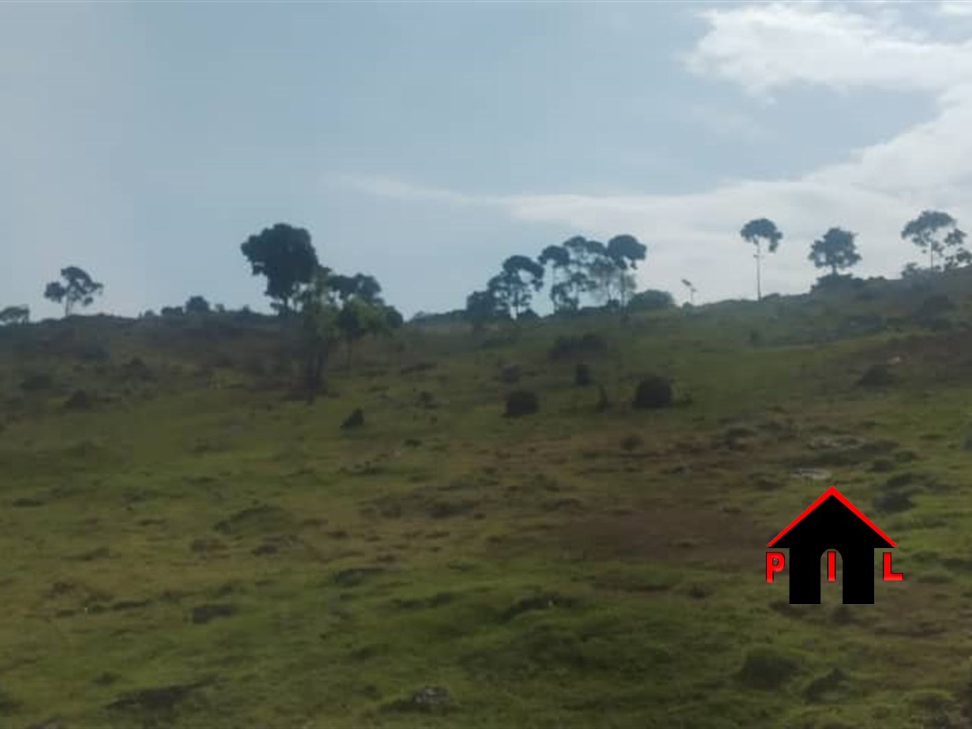 Farm for sale in Kidogolo Buyikwe