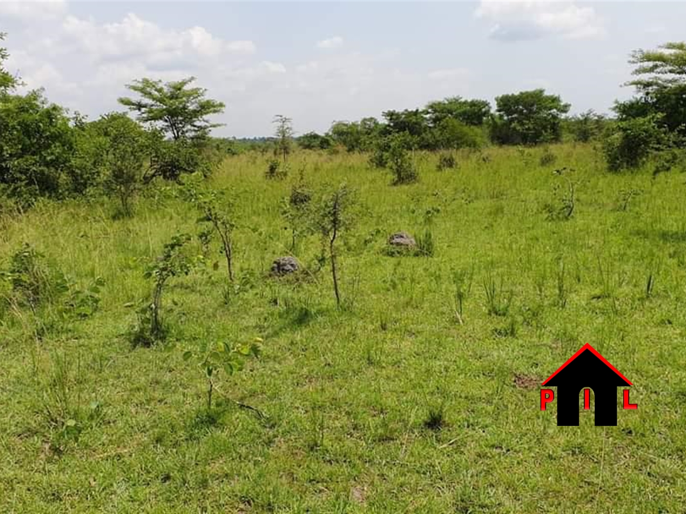 Agricultural Land for sale in Kasaali Rakai