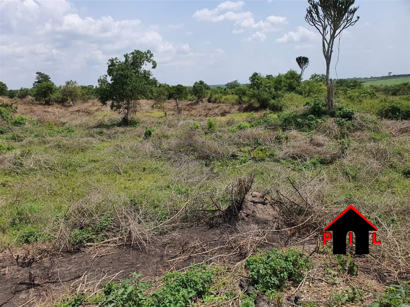 Agricultural Land for sale in Kasaali Rakai