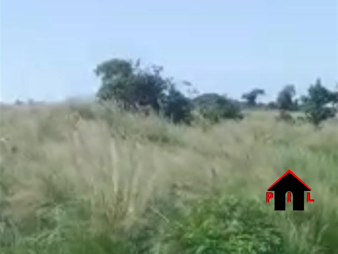Agricultural Land for sale in Kyaggwe Jinja