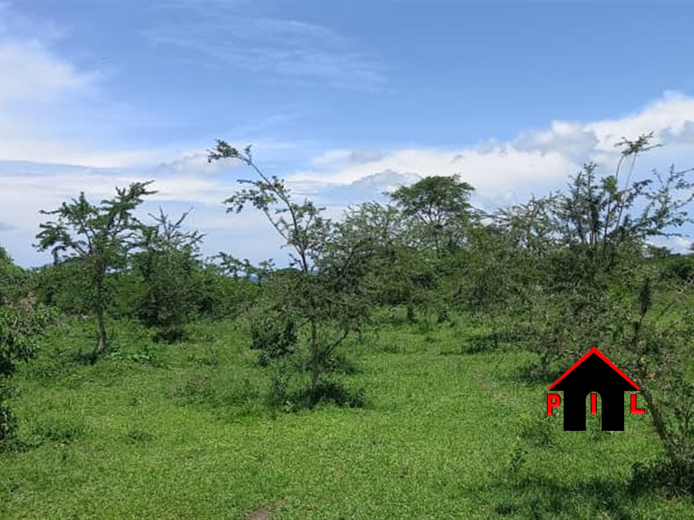 Agricultural Land for sale in Bulemenzi Luweero