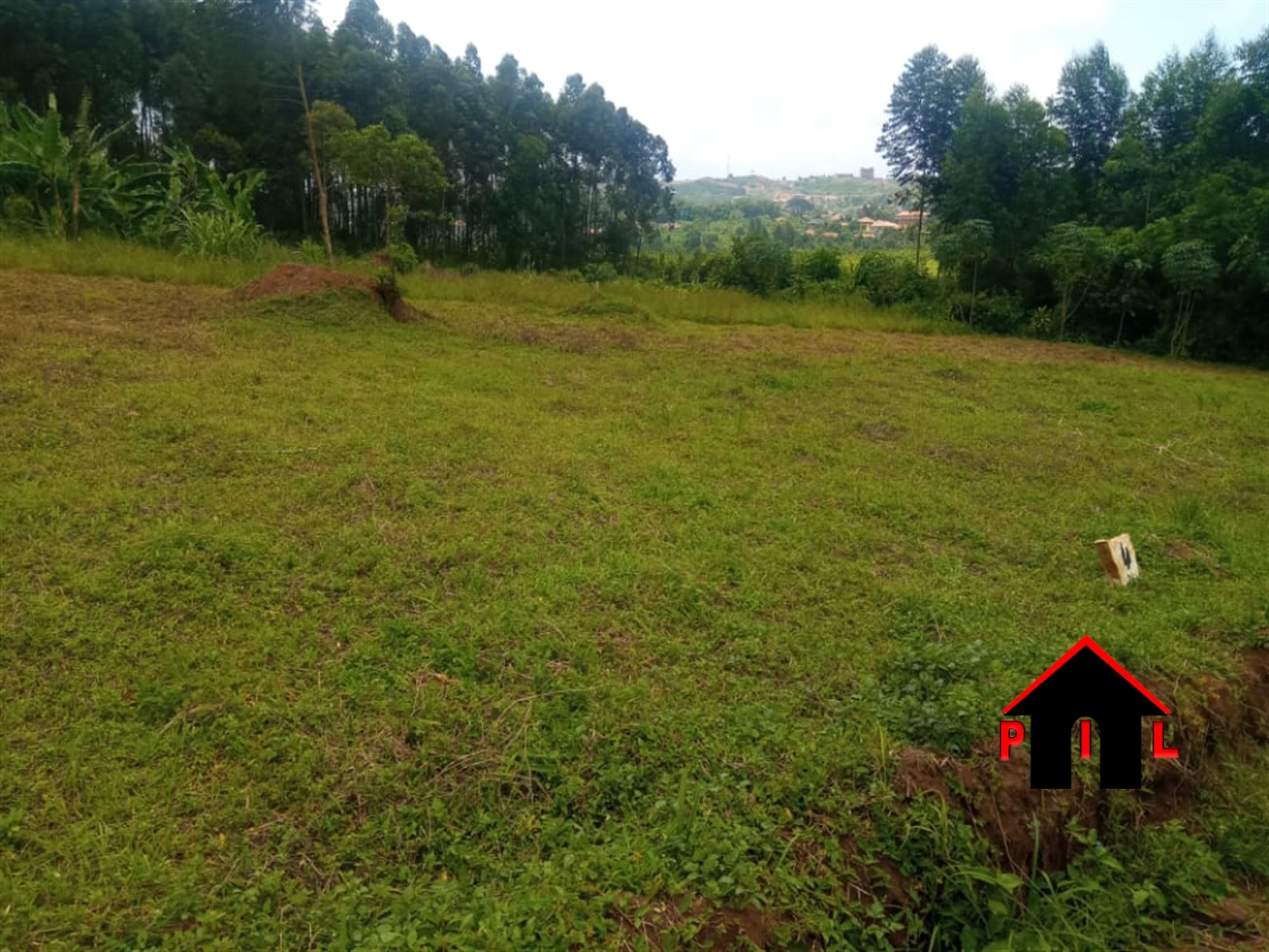 Commercial Land for sale in Namutumba Mbaale