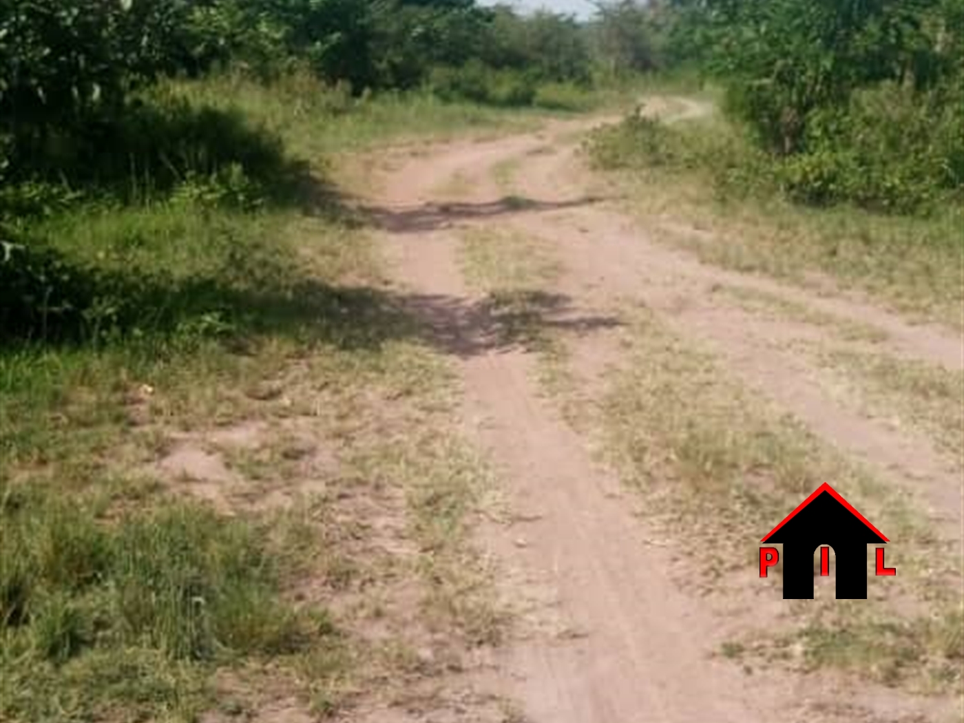 Farm for sale in Bombo Luweero