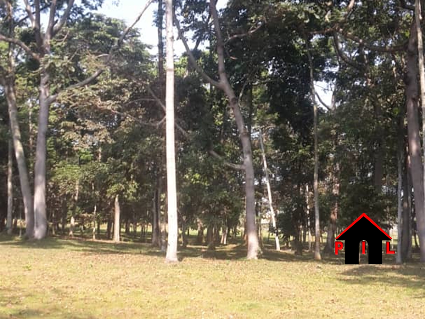 Commercial Land for sale in Nkumba Wakiso