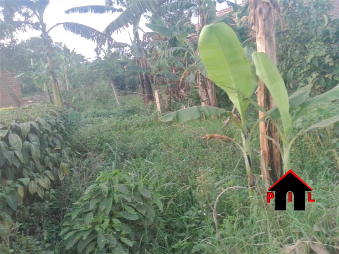 Residential Land for sale in Kikyuusa Luweero