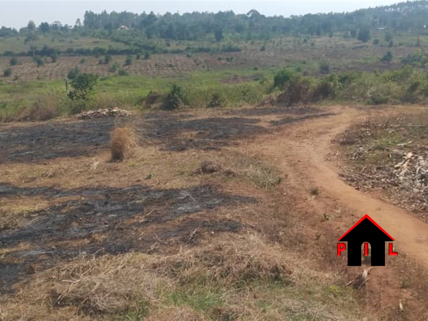 Agricultural Land for sale in Nazigo Mukono