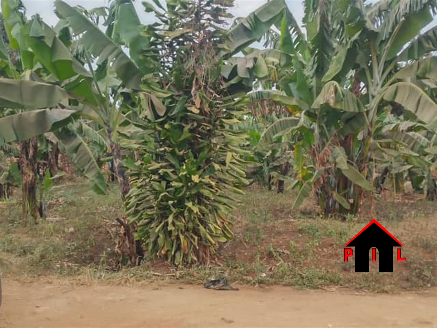 Residential Land for sale in Seeta Mukono