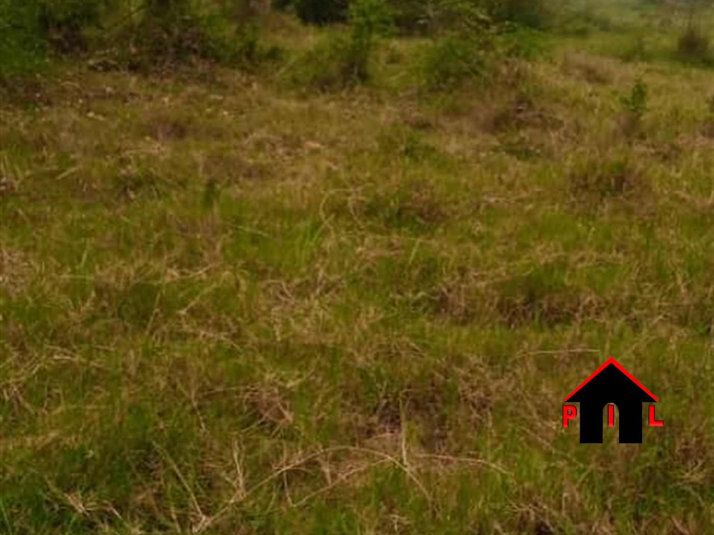 Agricultural Land for sale in Myanzi Mubende