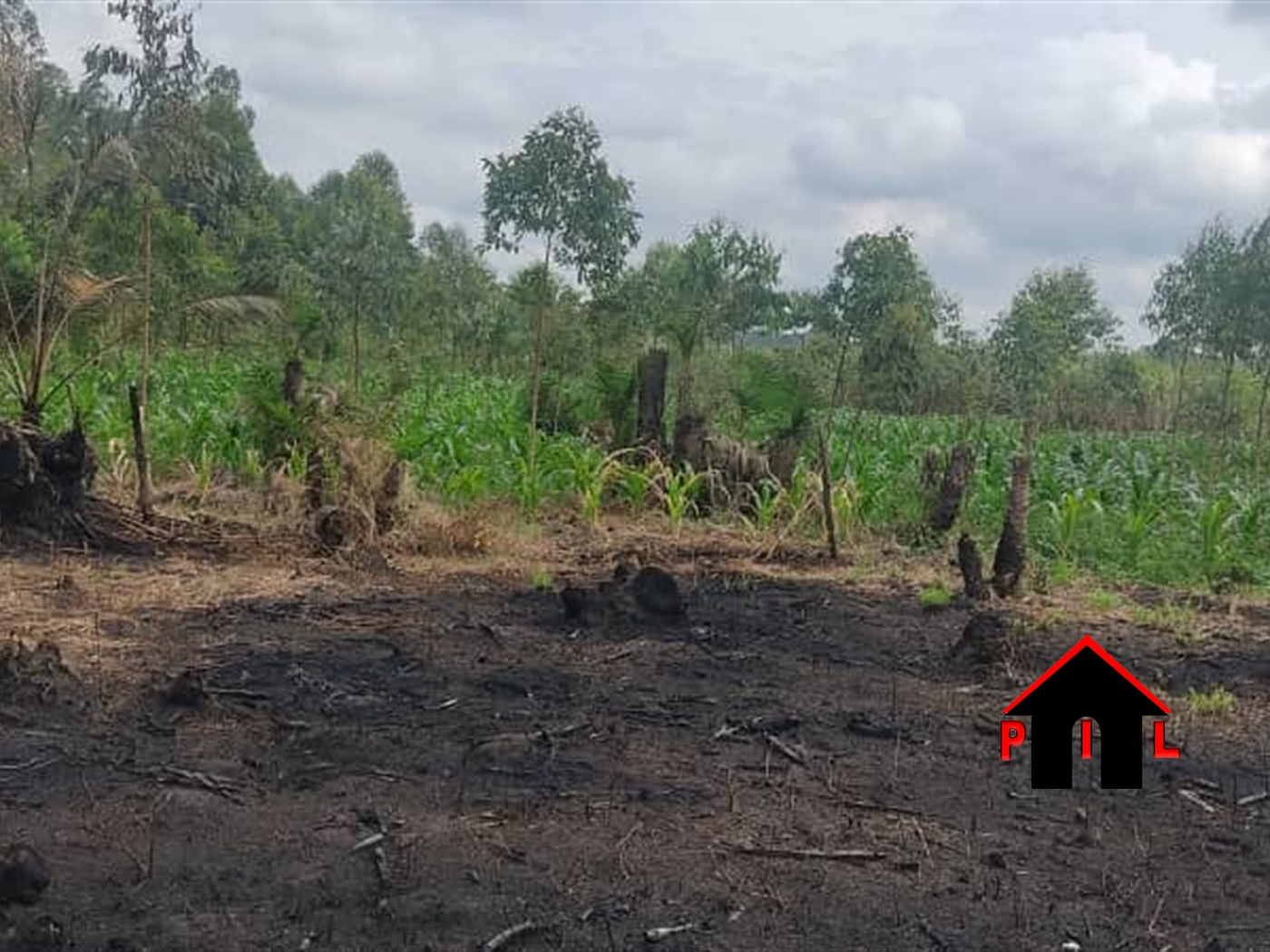 Agricultural Land for sale in Busiika Luweero