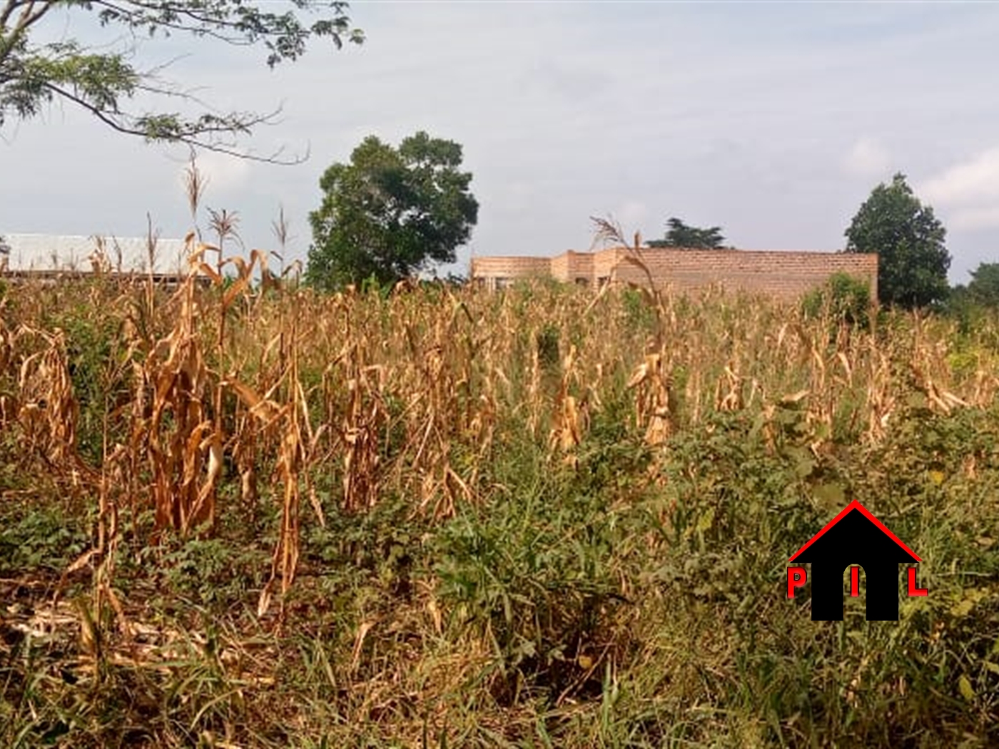 Agricultural Land for sale in Kikyusa Luwero