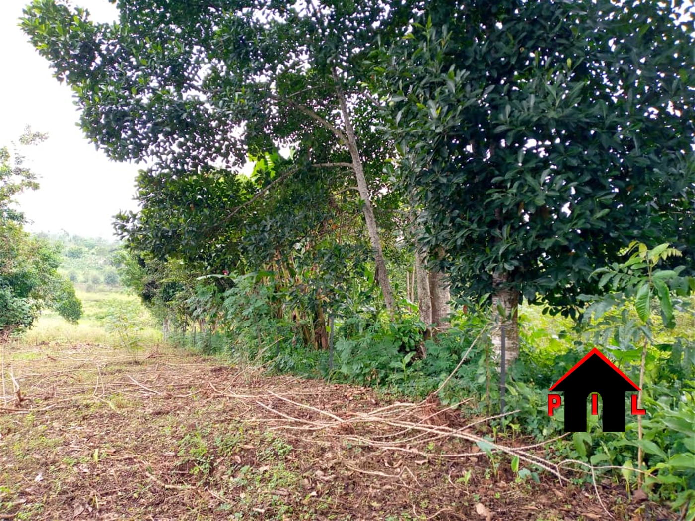 Residential Land for sale in Naalya Wakiso