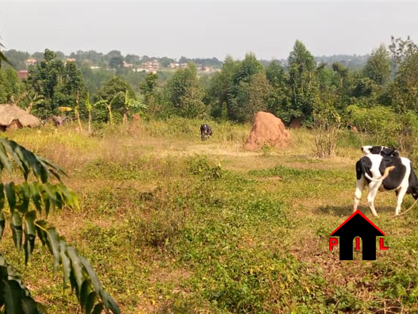 Residential Land for sale in Gombe Wakiso