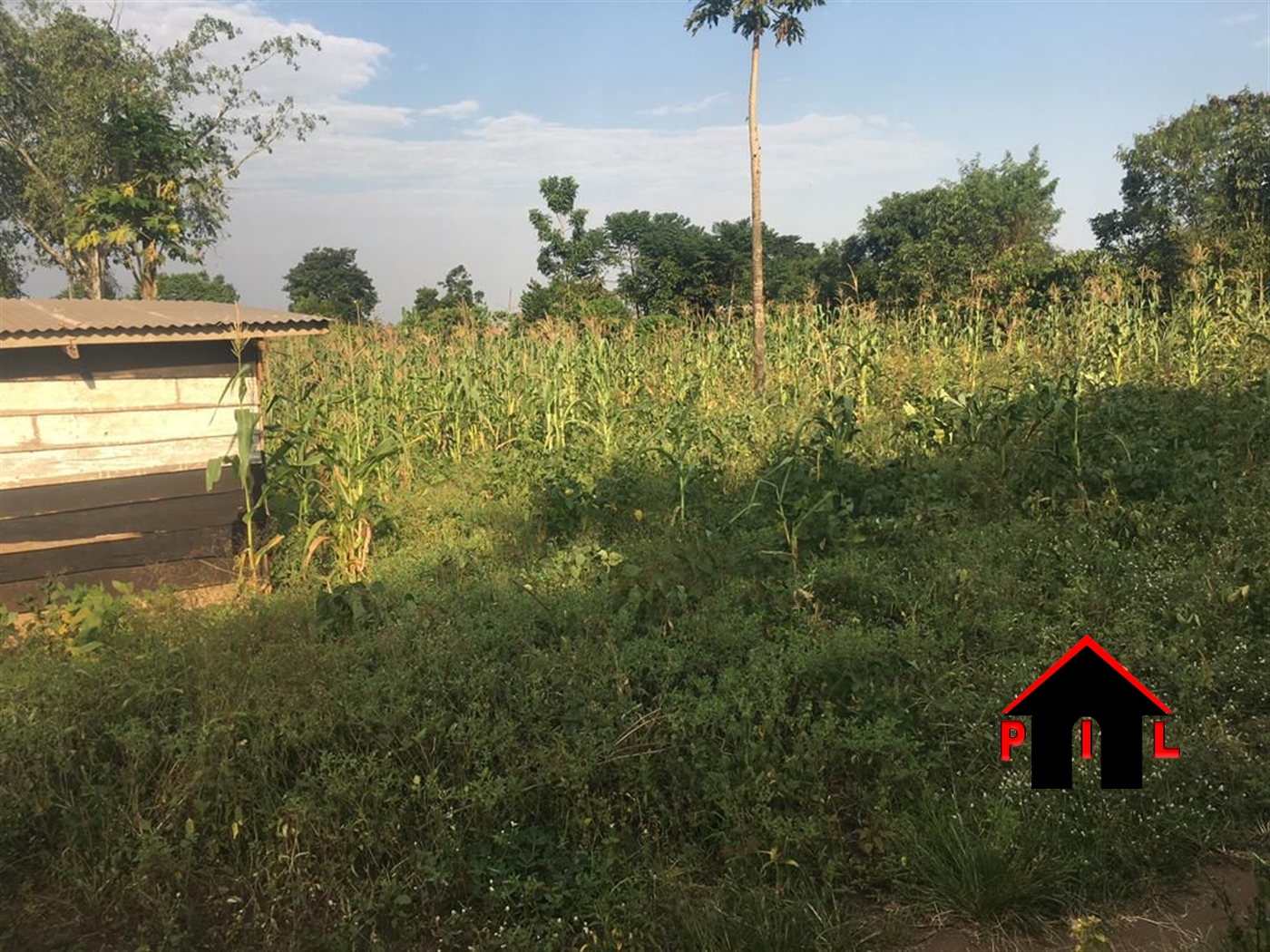 Commercial Land for sale in Bweyale Kayunga